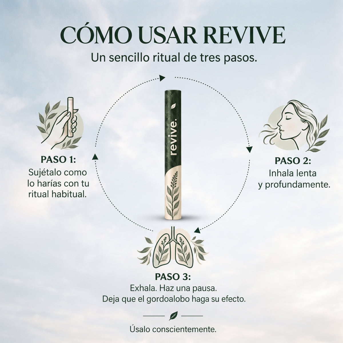 Inhalador de Gordolobo Revive